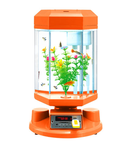 Aquarium Tank