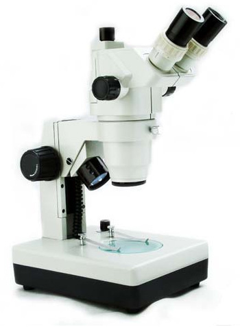 Stereo Microscope