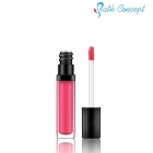 Factory wholesale Neutral makeup 15 color make your own lip gloss