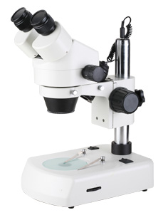 Stereo microscope