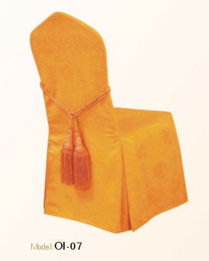 Chair Cover