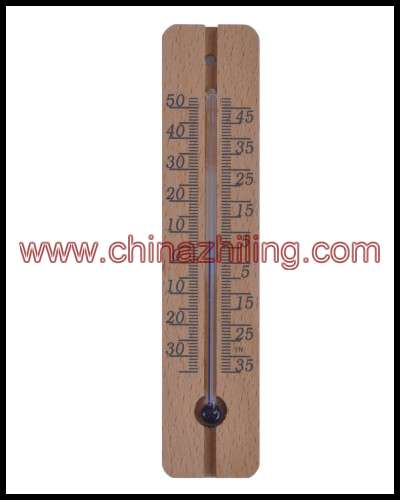 Household Thermometers