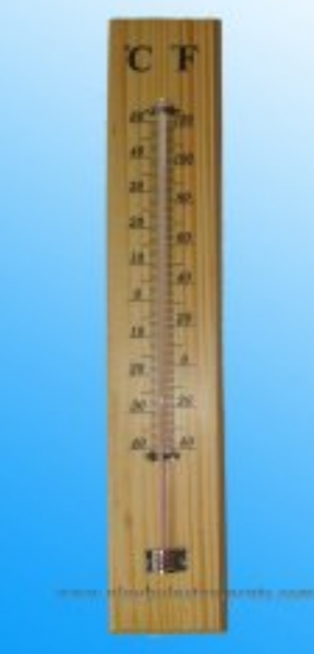 Household Thermometers