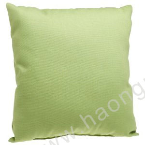 Cushion