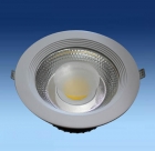 LED DownLighters