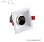 LED DownLighters