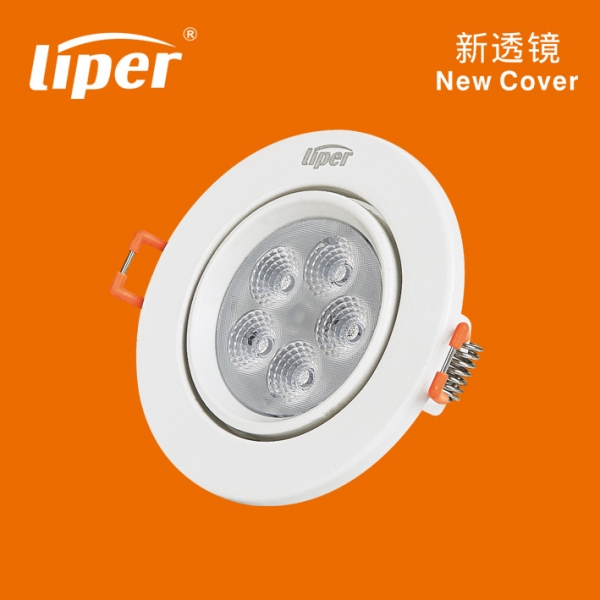 LED Ceiling Lamps