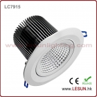 LED Ceiling Lamps