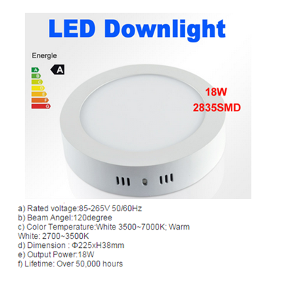 LED DownLighters