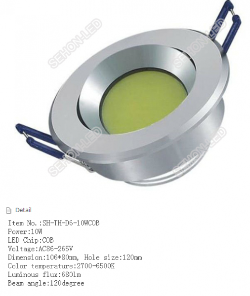 LED DownLighters