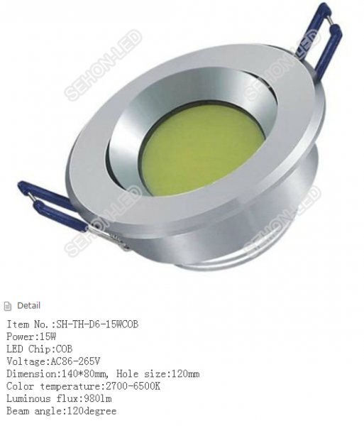 LED DownLighters